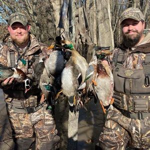 Meet your Posher, Justin